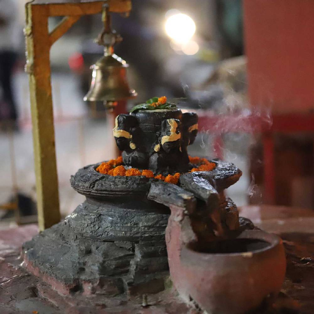 Kunst Und Magie Naga Incense Shamanisches - Buddhistisches Räucherwerk zur Naga Puja Gebäudeeinweihung Saisonschlussverkauf