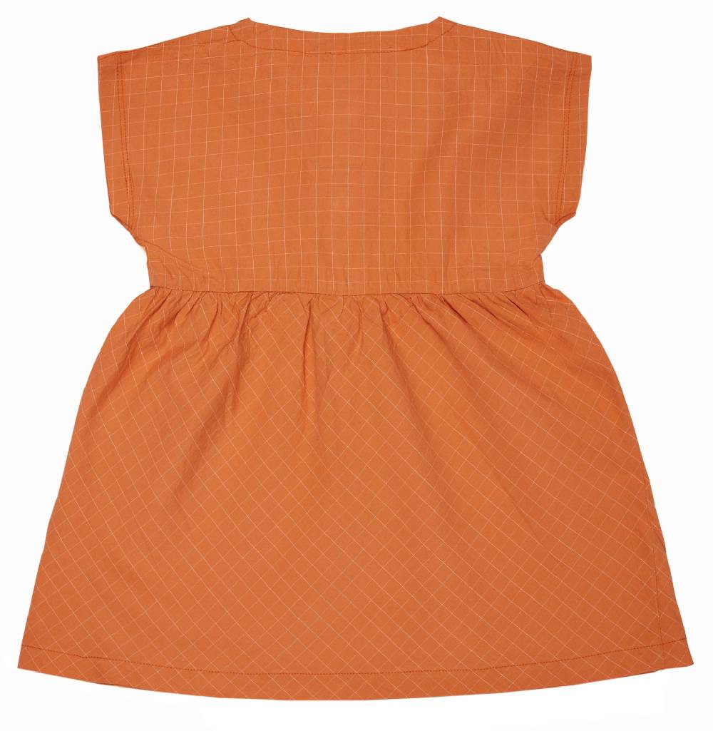 Loud Proud Kleid aus feinem Karo Clearance-Verkauf
