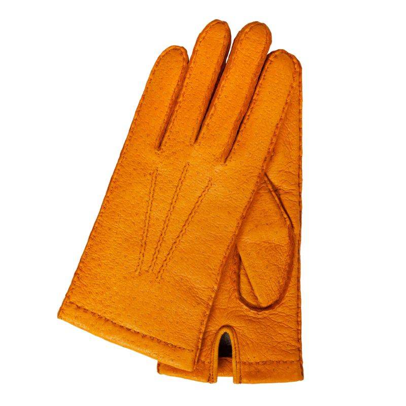 Otto Kessler TARA Sonderangebot