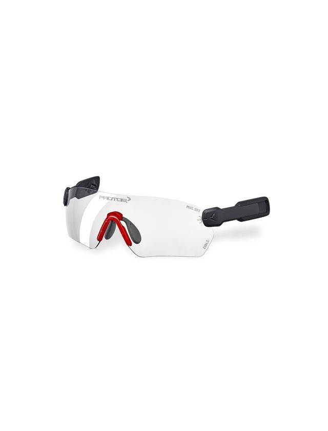 Strauss e.s. Schutzbrille Protos® Integral Letzte 2 Tage