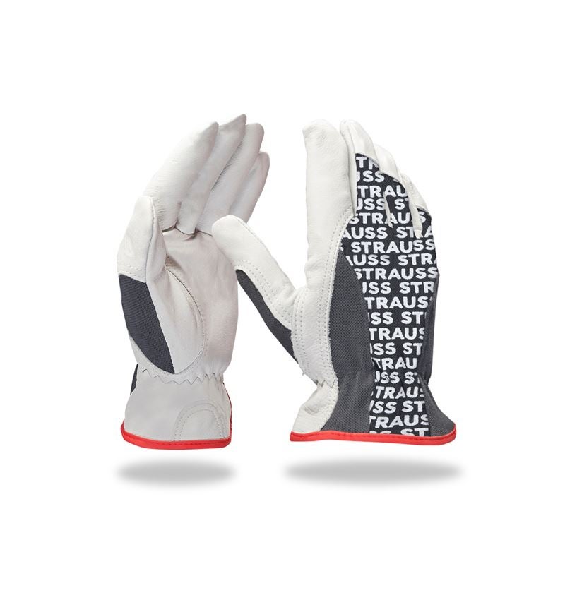 Strauss Nappaleder-Fahrer-Handschuhe Driver Profi Super Rabatt