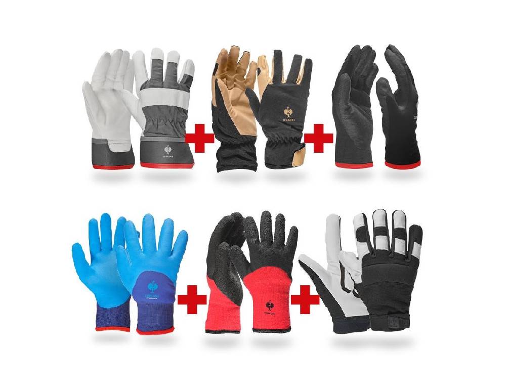 Strauss TEST-Set: Handschuhe Kälteschutz Versandkostenfrei