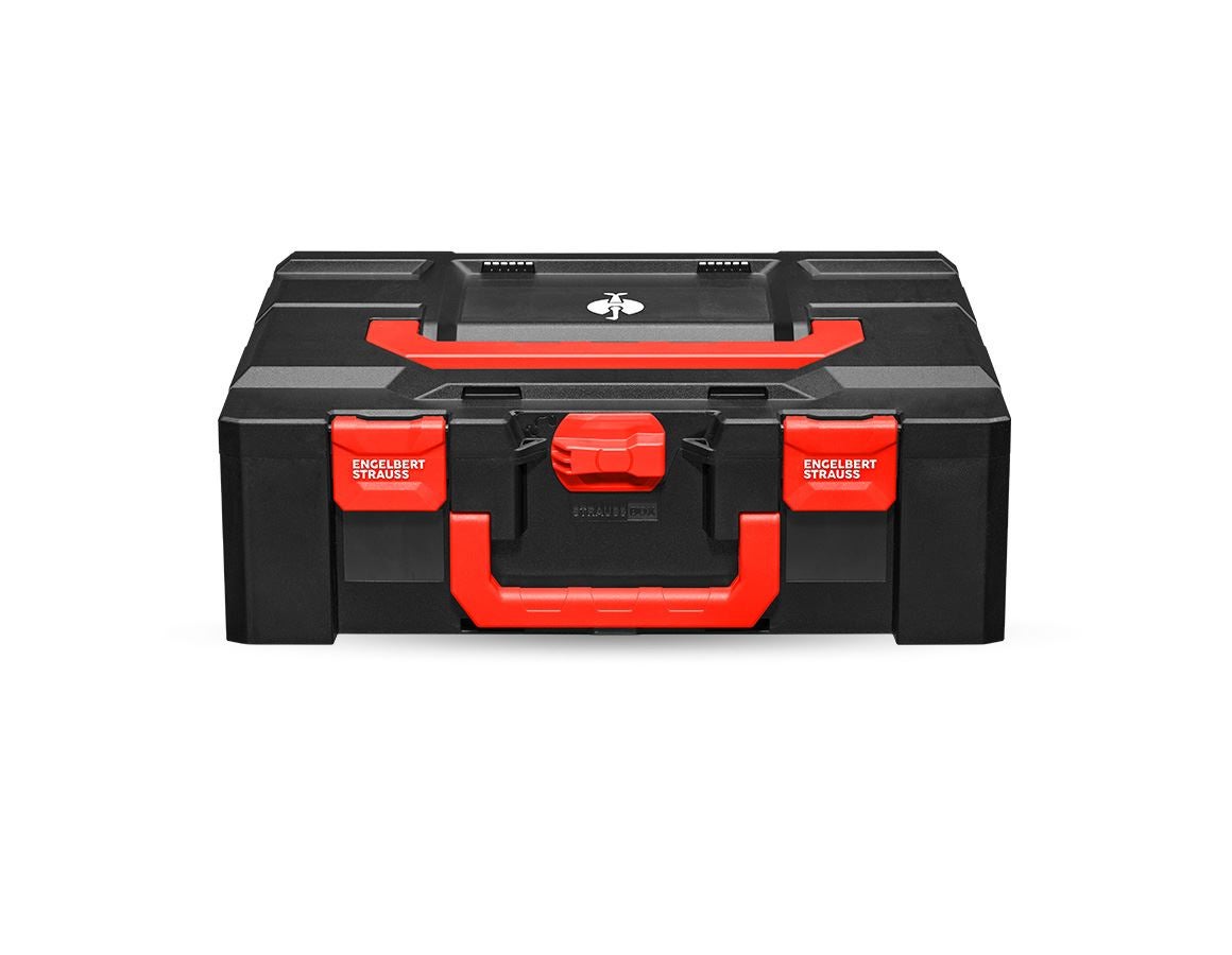 Strauss STRAUSSbox 165 large Speichern exportieren